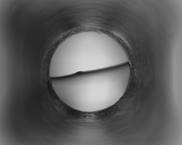 X0000088040968200705251258