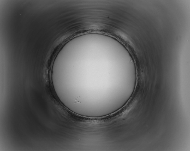 X0000088040970200705251258