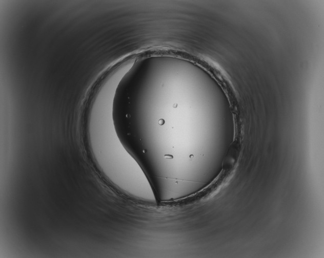 X0000088040973200705251258