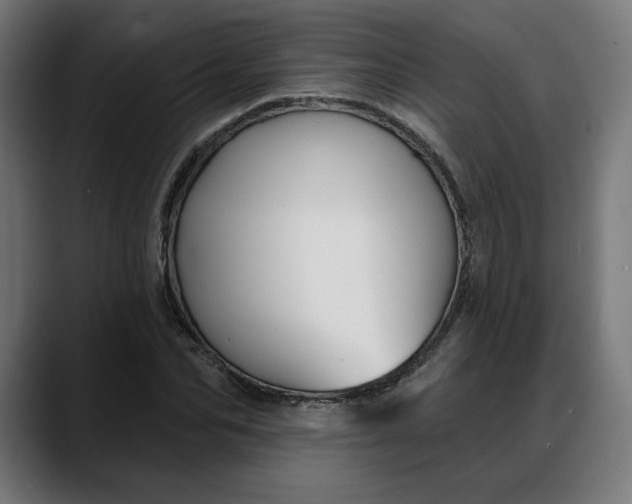 X0000088040974200705251258