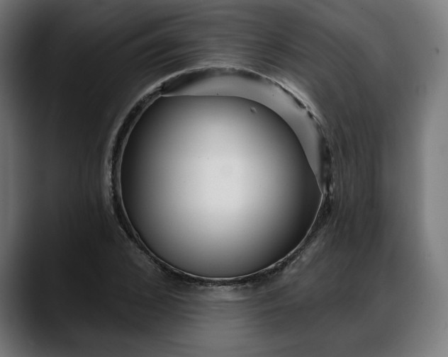 X0000088040976200705251258