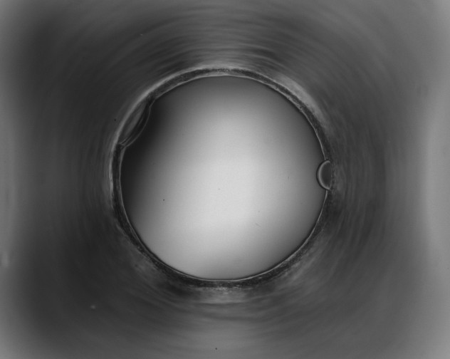 X0000088040980200705251258