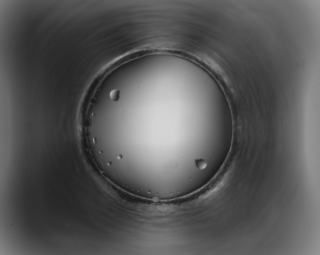 X0000088040981200705251258