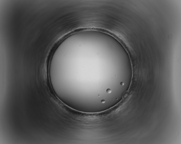X0000088040982200705251258