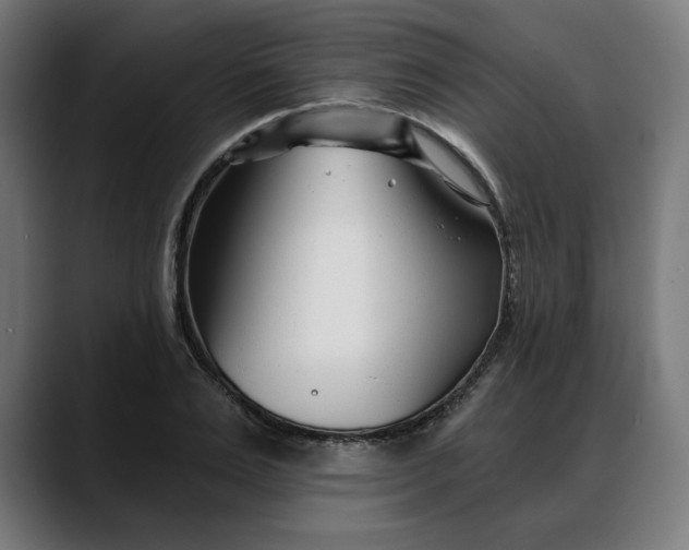 X0000088040983200705251258