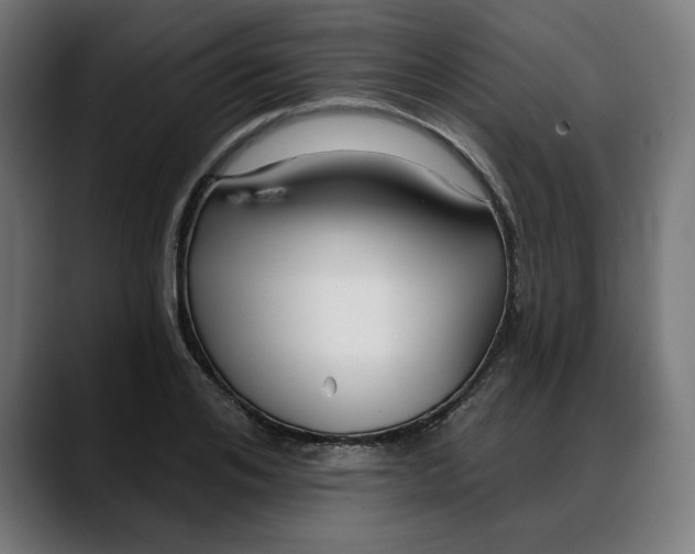 X0000088040984200705251258