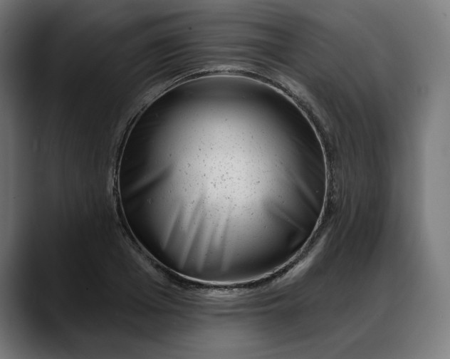 X0000088040985200705251258