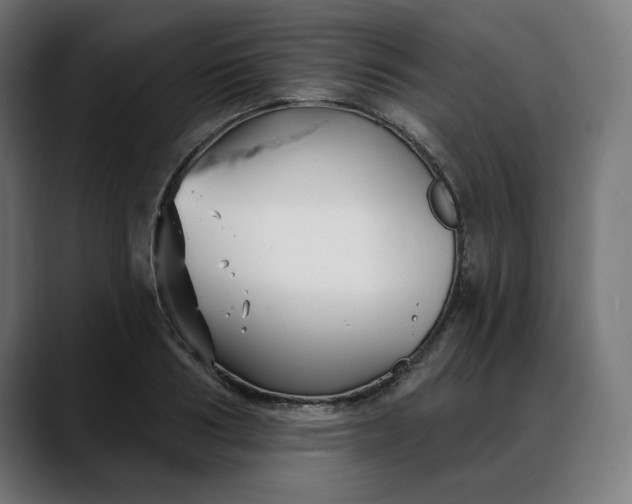 X0000088040986200705251258
