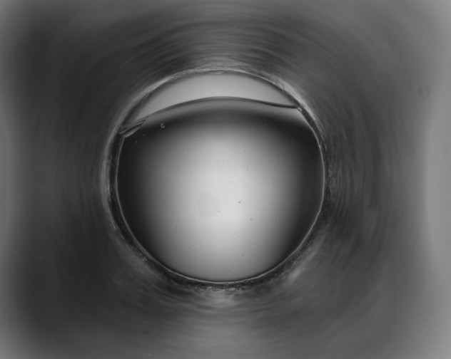 X0000088040987200705251258