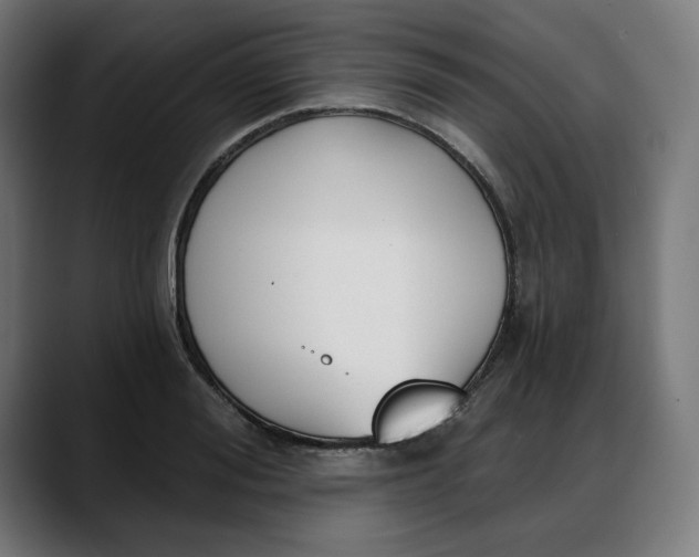 X0000088040988200705251258
