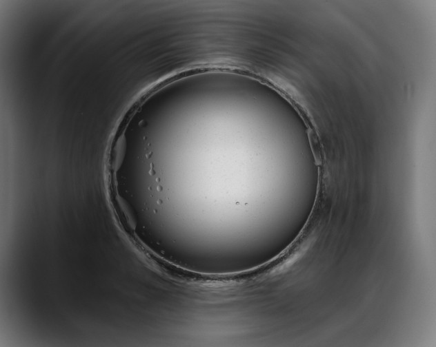 X0000088040989200705251258