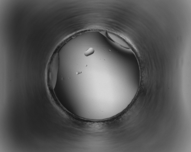 X0000088040991200705251258