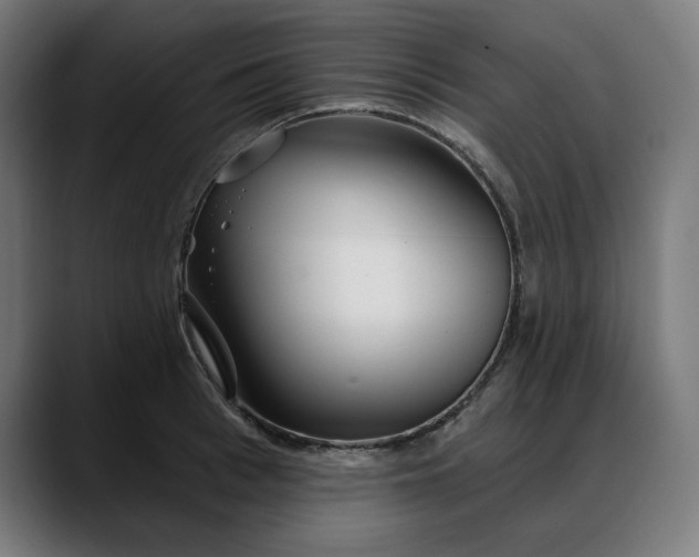 X0000088040993200705251258