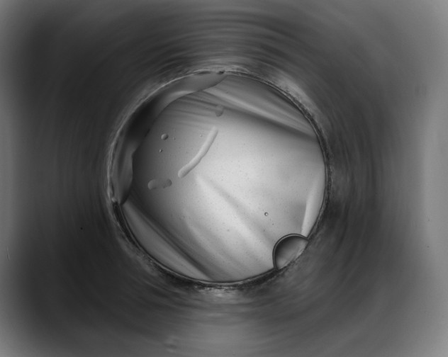 X0000088040994200705251258