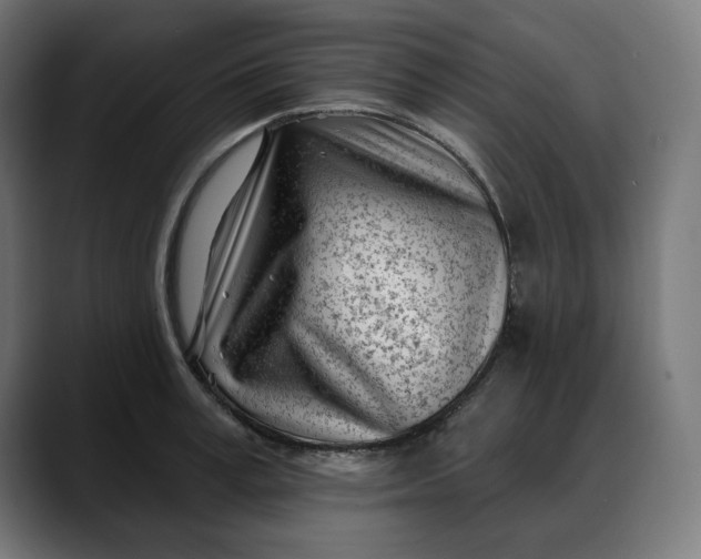 X0000088040995200705251258