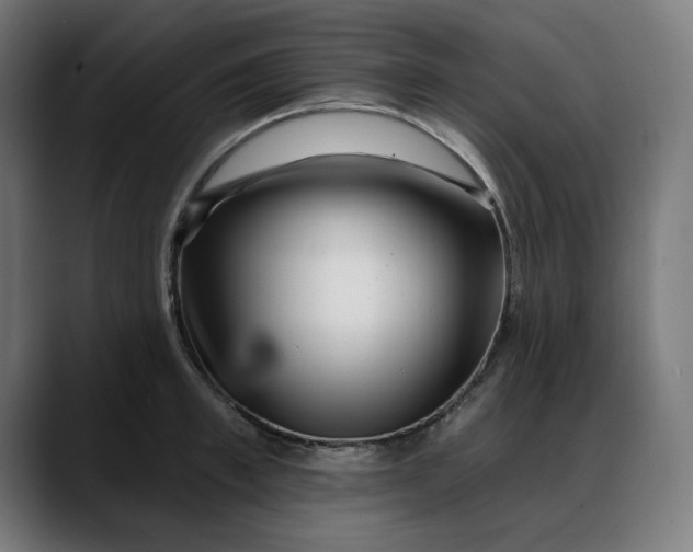 X0000088040997200705251258