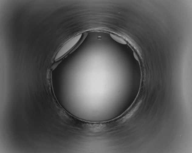 X0000088041001200705251258