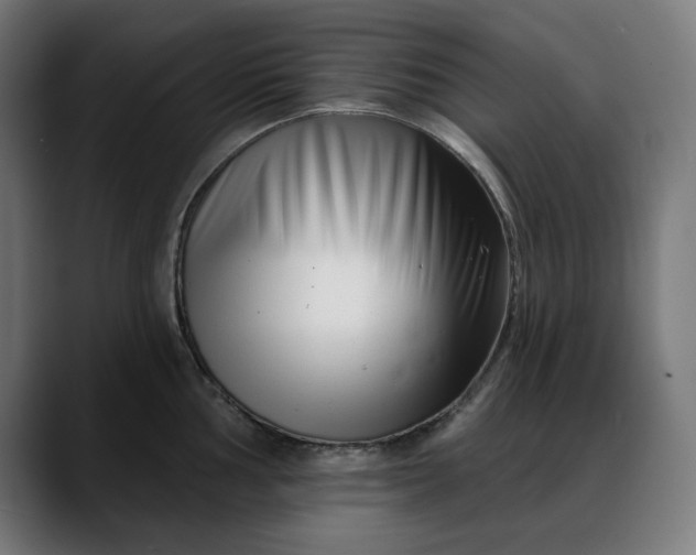 X0000088041002200705251258