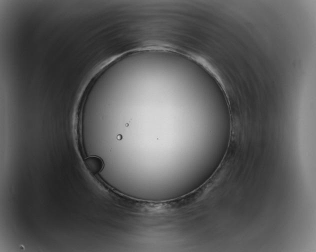 X0000088041003200705251258