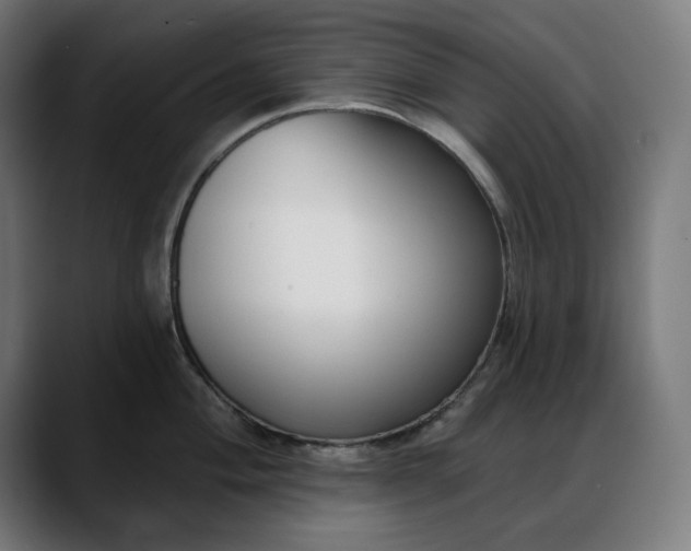 X0000088041004200705251258