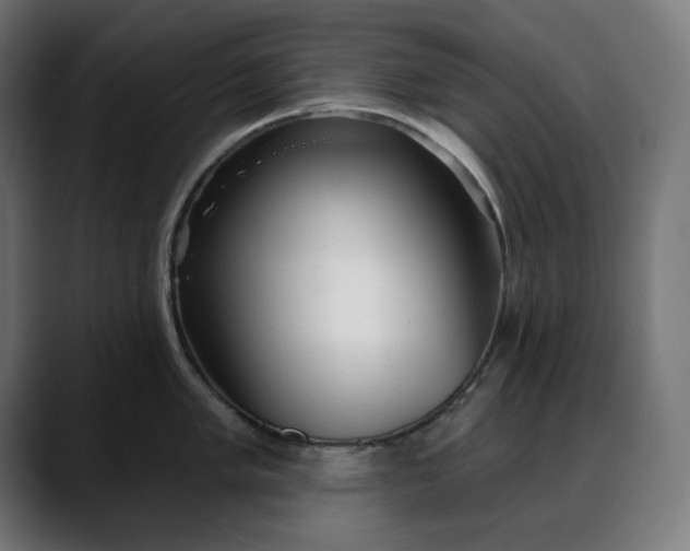 X0000088041005200705251258