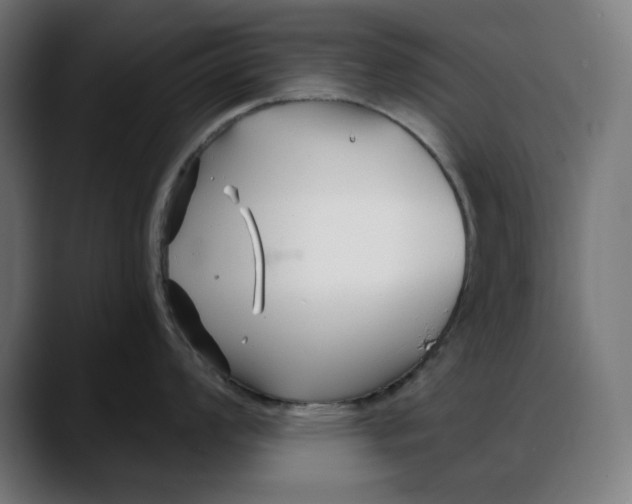 X0000088041008200705251258