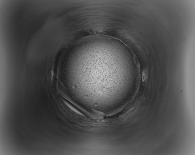 X0000088041011200705251257