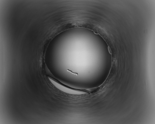 X0000088041012200705251257