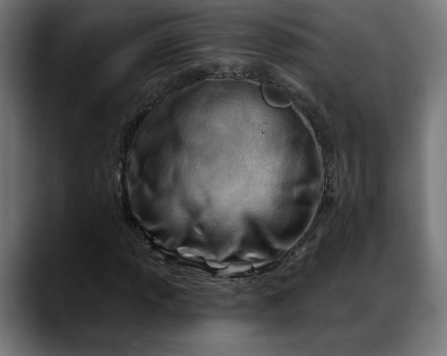 X0000088041013200705251257