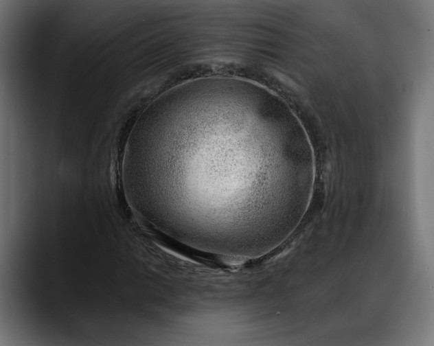 X0000088041014200705251257