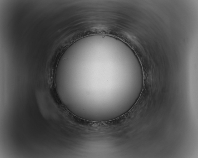 X0000088041015200705251257