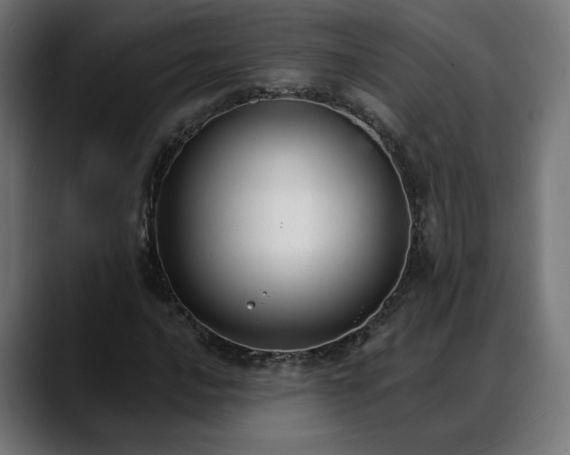 X0000088041016200705251257