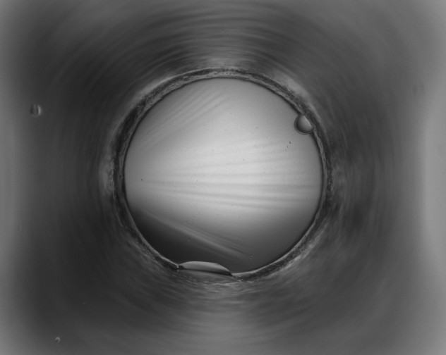 X0000088041019200705251257