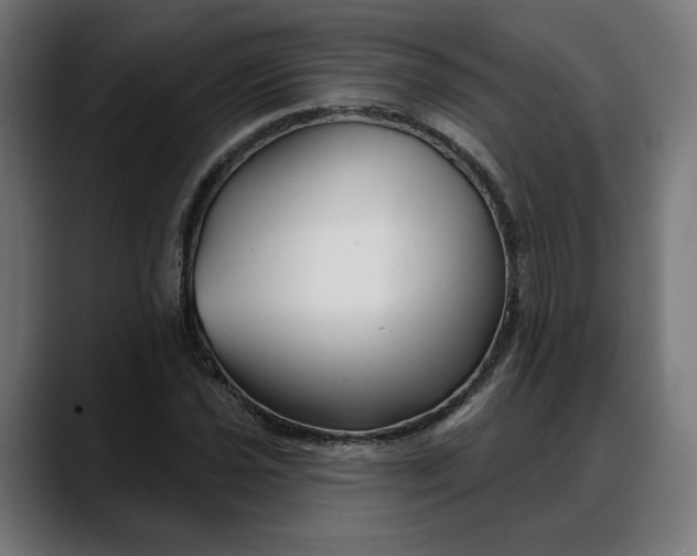 X0000088041021200705251257