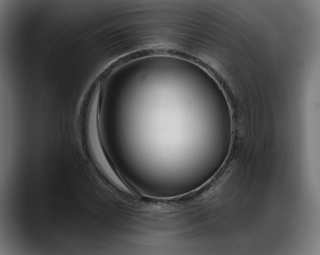 X0000088041022200705251257