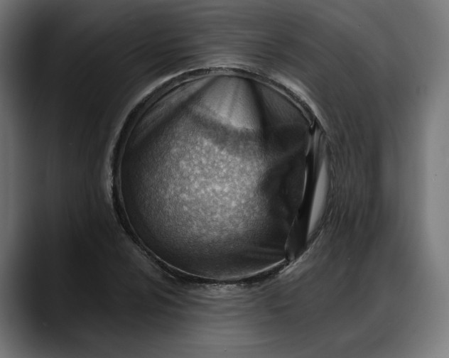 X0000088041024200705251257