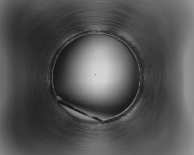X0000088041025200705251257