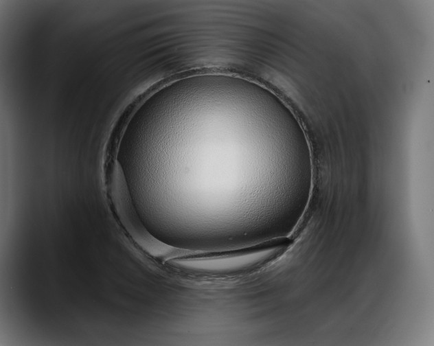 X0000088041026200705251257