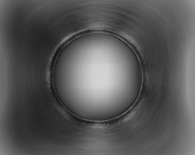 X0000088041029200705251257