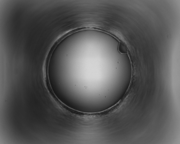 X0000088041032200705251257