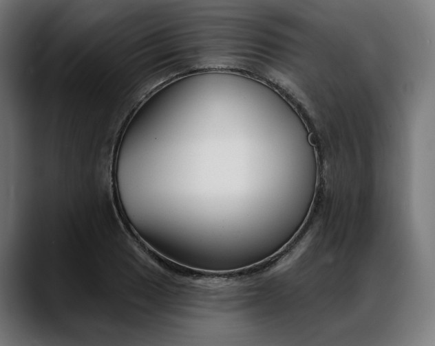 X0000088041033200705251258