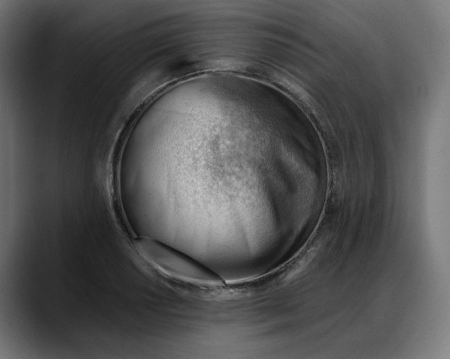 X0000088041034200705251258