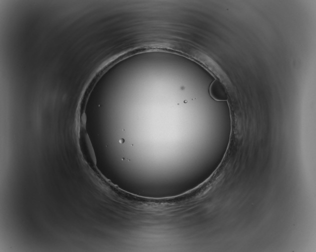 X0000088041036200705251258
