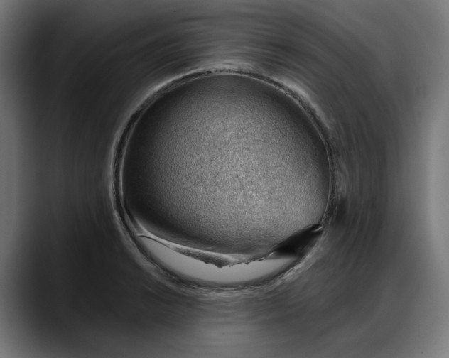 X0000088041038200705251258
