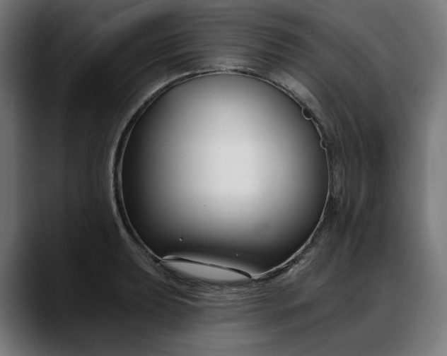 X0000088041039200705251258