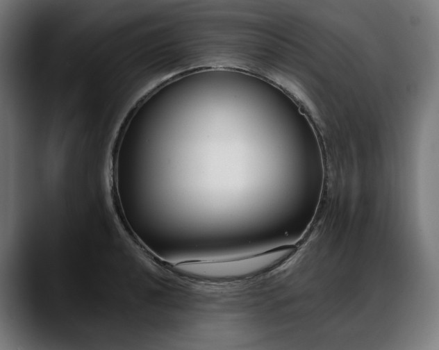 X0000088041040200705251258