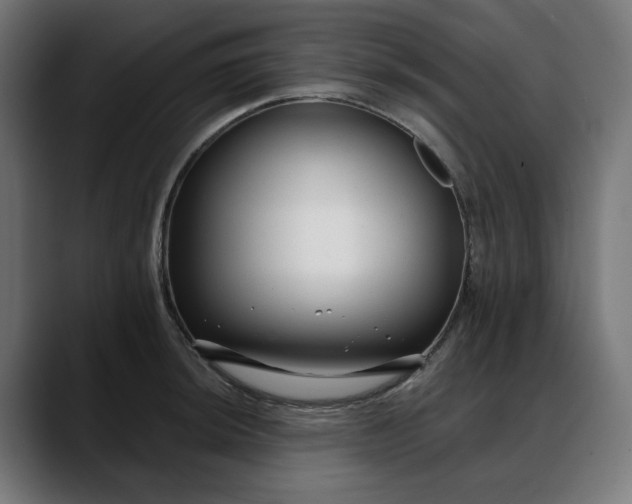 X0000088041044200705251258