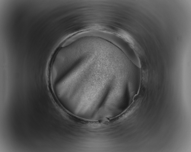 X0000088041046200705251258