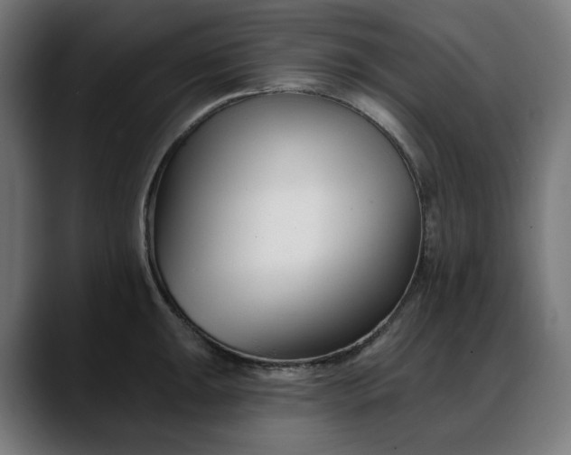 X0000088041047200705251258
