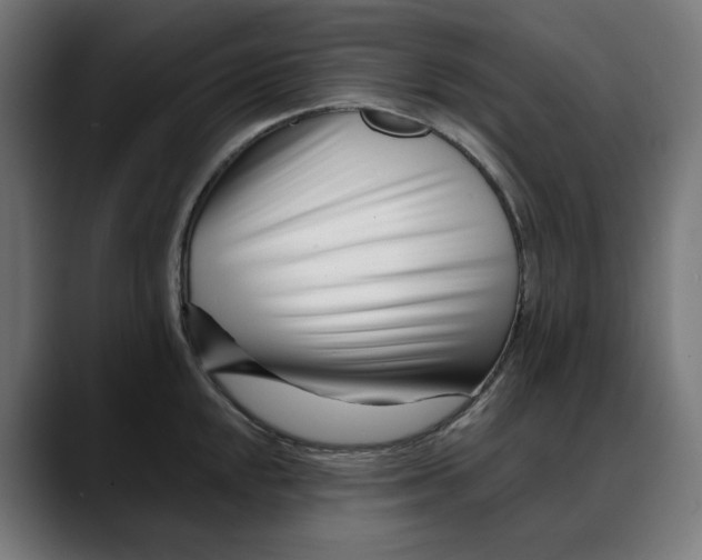 X0000088041048200705251258